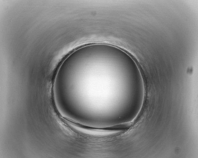 X0000094231507200711021150
