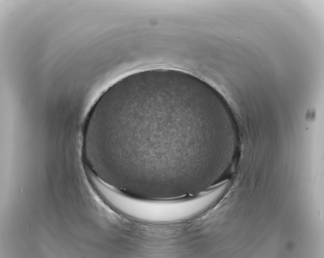 X0000094231508200711021150