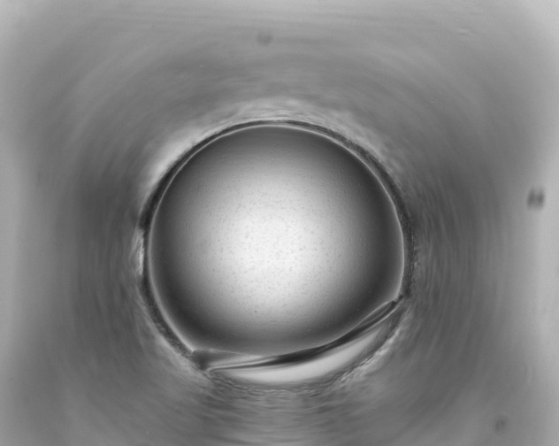 X0000094231509200711021150