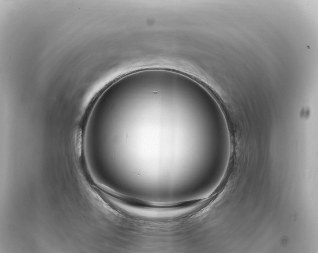X0000094231510200711021151