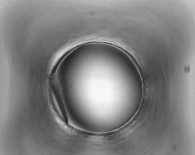 X0000094231511200711021151