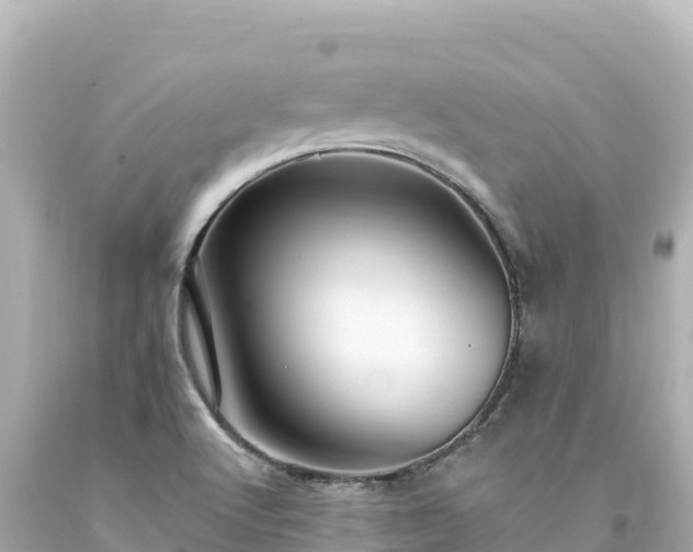X0000094231512200711021151