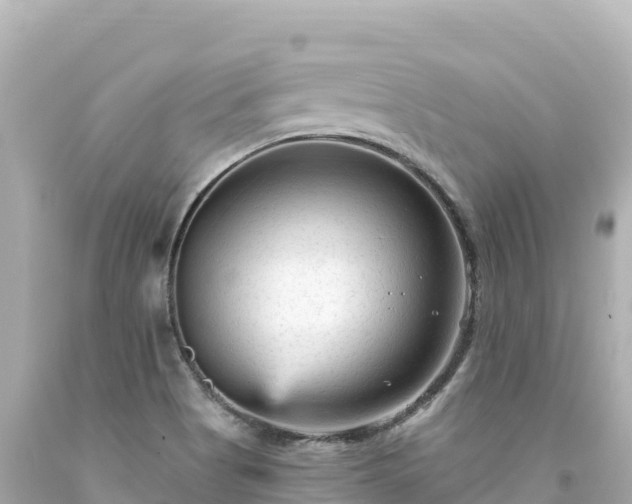 X0000094231513200711021151