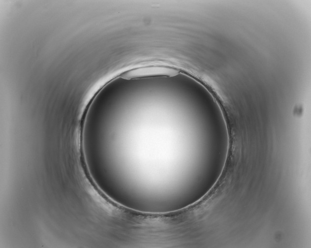 X0000094231516200711021151