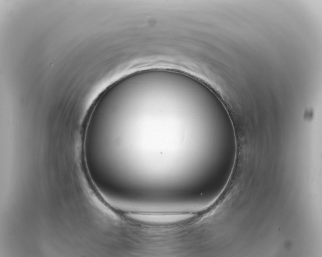X0000094231518200711021151