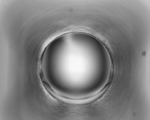 X0000094231520200711021151