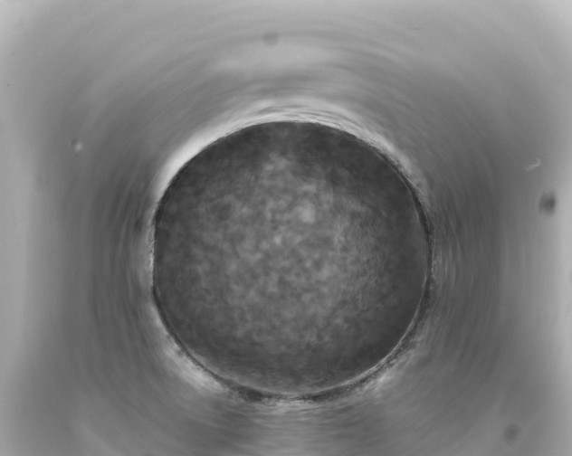X0000094231522200711021151