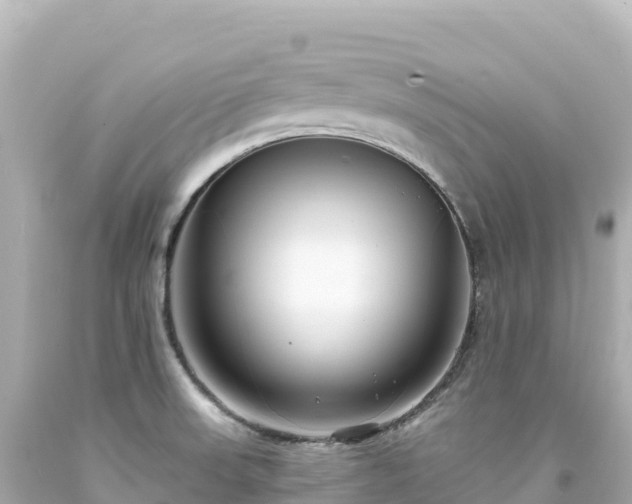 X0000094231523200711021151