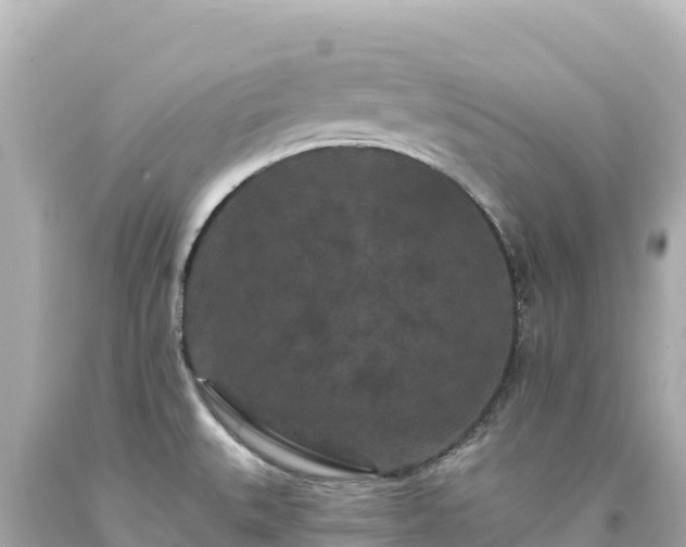X0000094231527200711021151