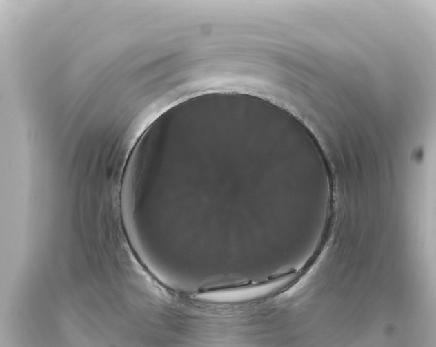 X0000094231529200711021151