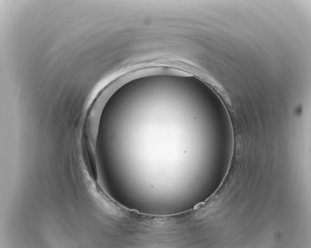 X0000094231530200711021151
