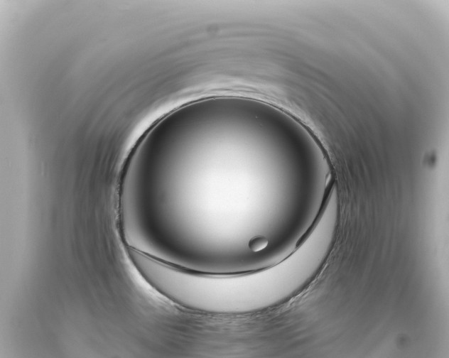 X0000094231531200711021151