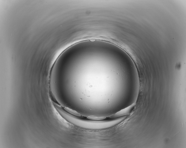 X0000094231532200711021151