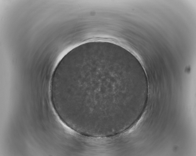 X0000094231533200711021151