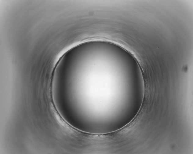 X0000094231534200711021151