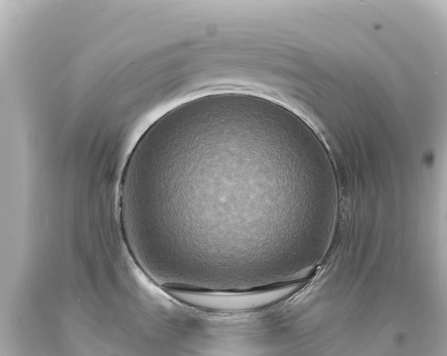 X0000094231535200711021151