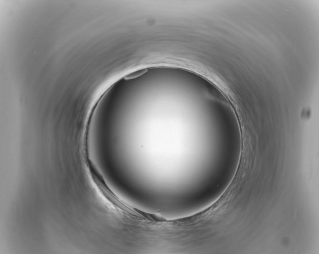 X0000094231536200711021151