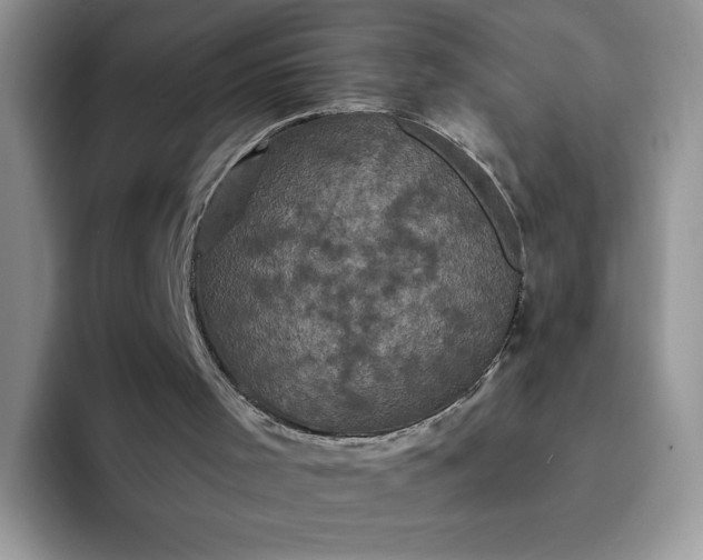 X0000094230001200711091322