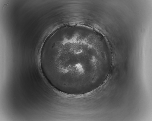 X0000094230002200711091322