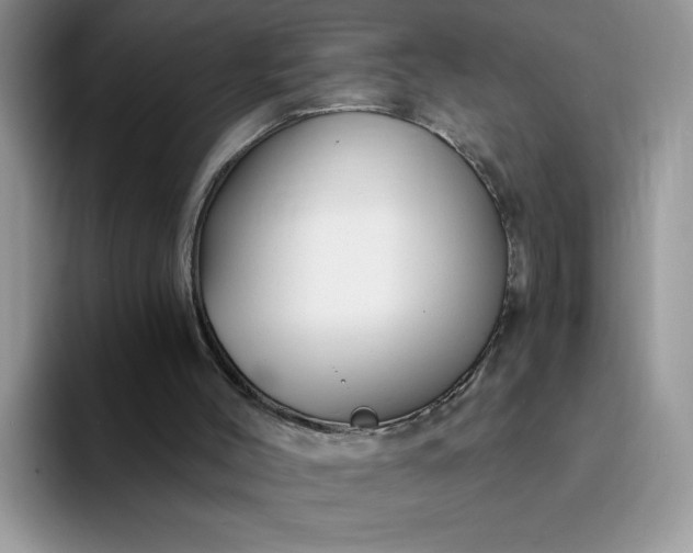 X0000094230004200711091322