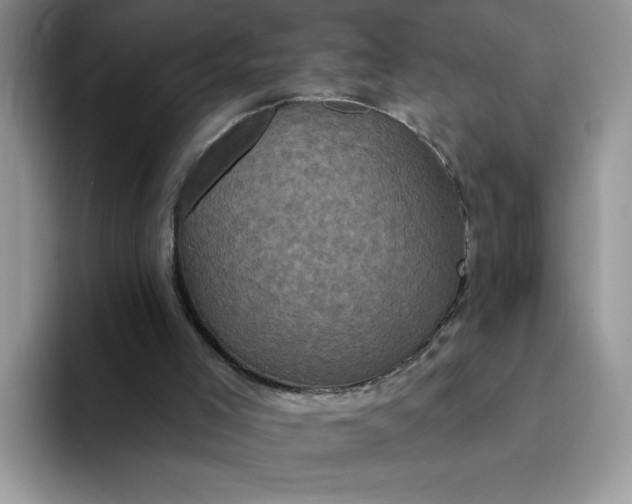 X0000094230005200711091322