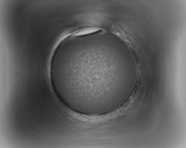 X0000094230006200711091322