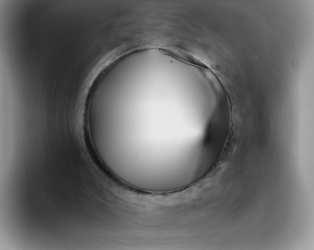 X0000094230007200711091322