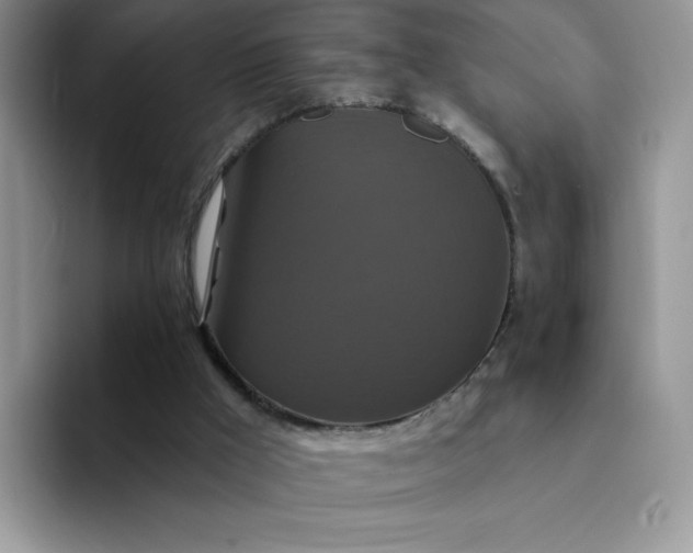 X0000094230009200711091322