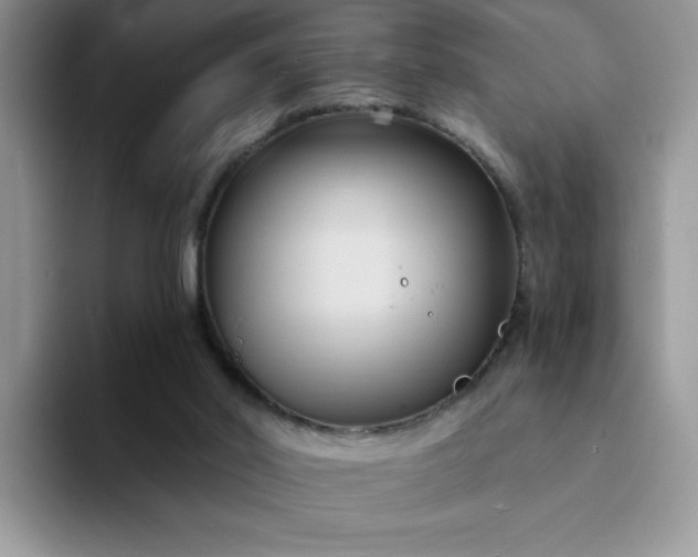 X0000094230014200711091322