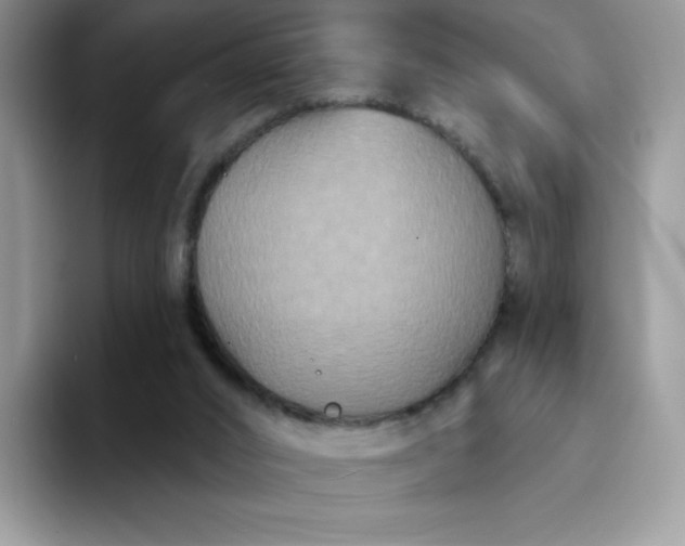 X0000094230016200711091322