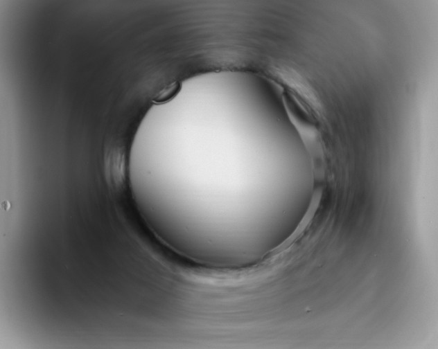 X0000094230021200711091322