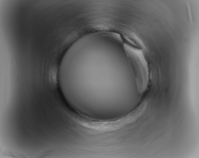 X0000094230023200711091322