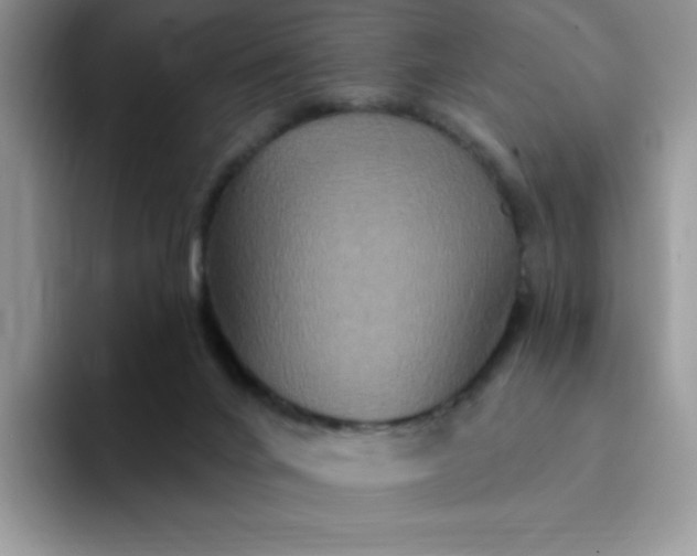 X0000094230024200711091322