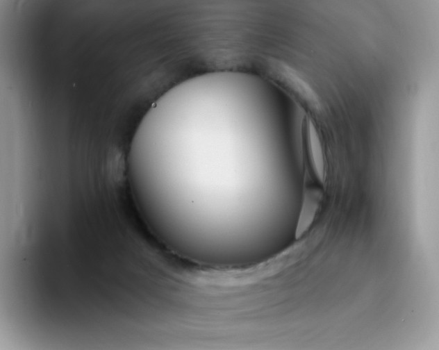 X0000094230025200711091322