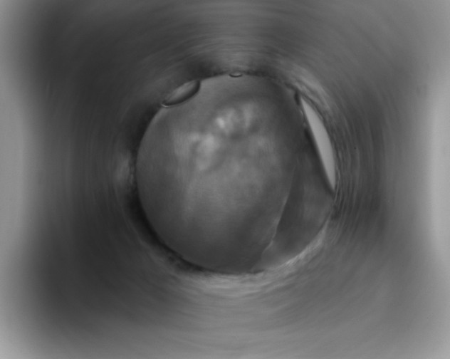 X0000094230029200711091322