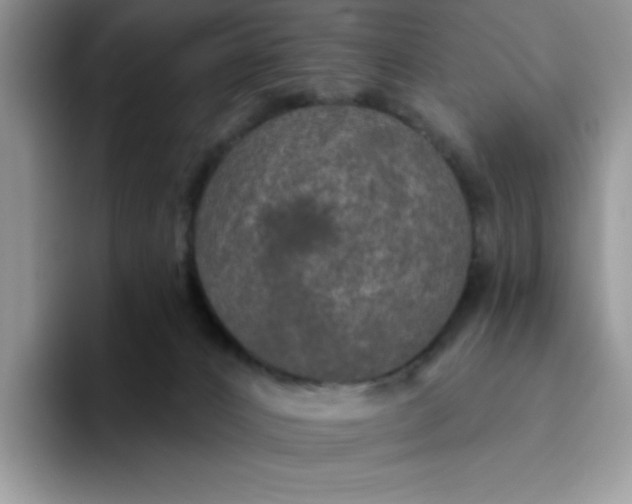 X0000094230032200711091322