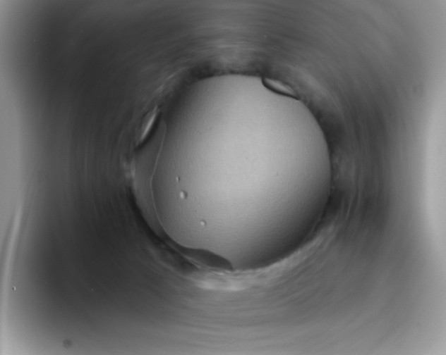 X0000094230033200711091322