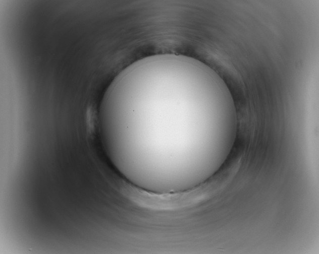 X0000094230038200711091322