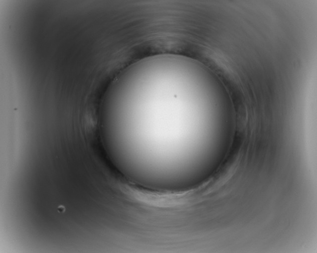 X0000094230040200711091322