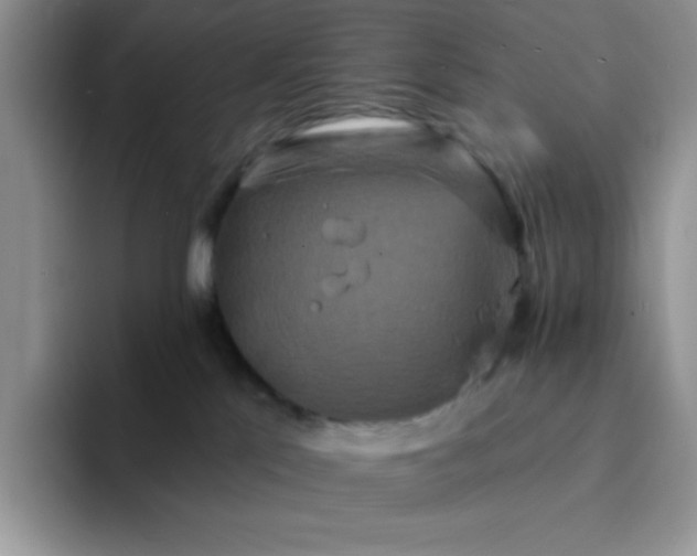 X0000094230041200711091322