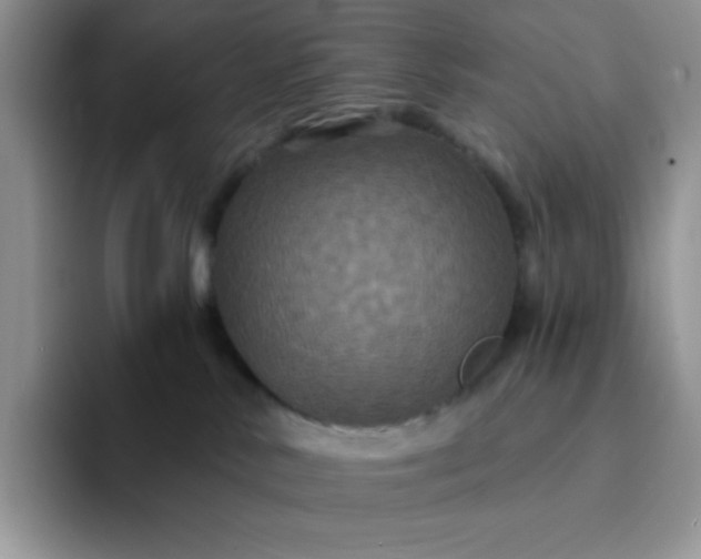 X0000094230042200711091322