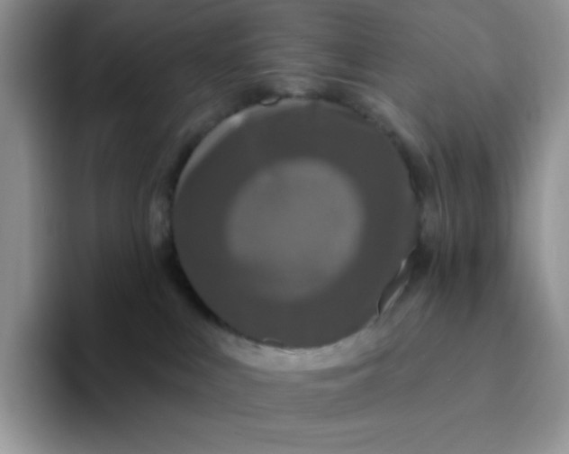 X0000094230043200711091322