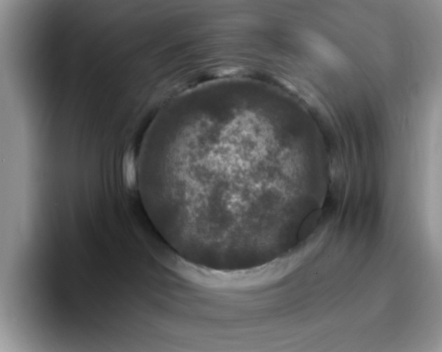 X0000094230046200711091322