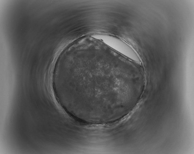 X0000094230049200711091321