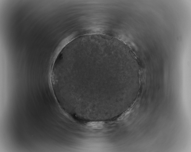 X0000094230051200711091321