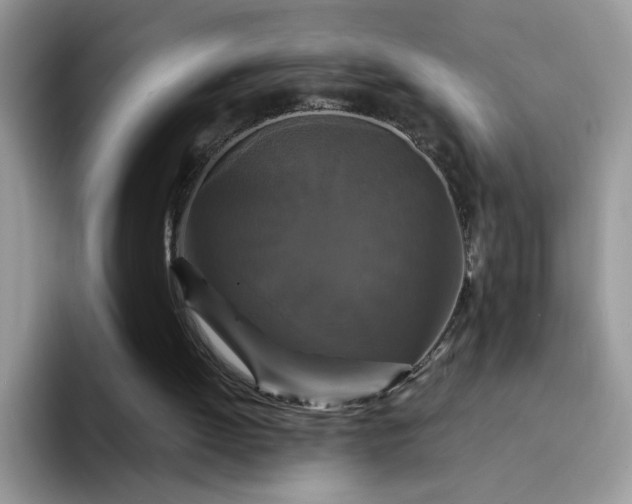 X0000094230052200711091321