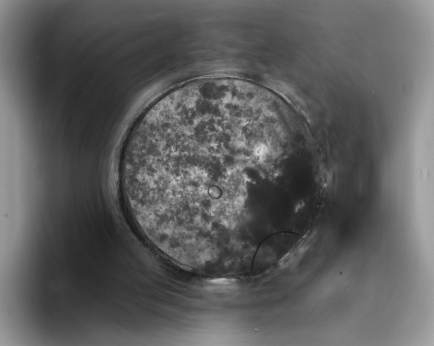 X0000094230053200711091321