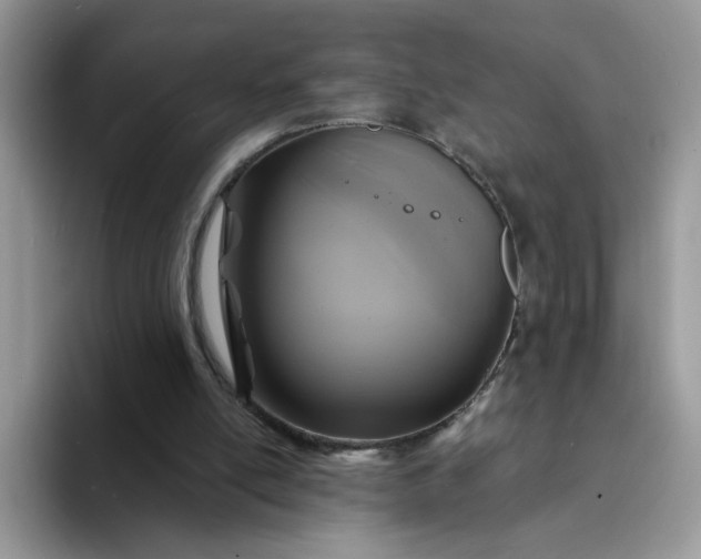 X0000094230054200711091321