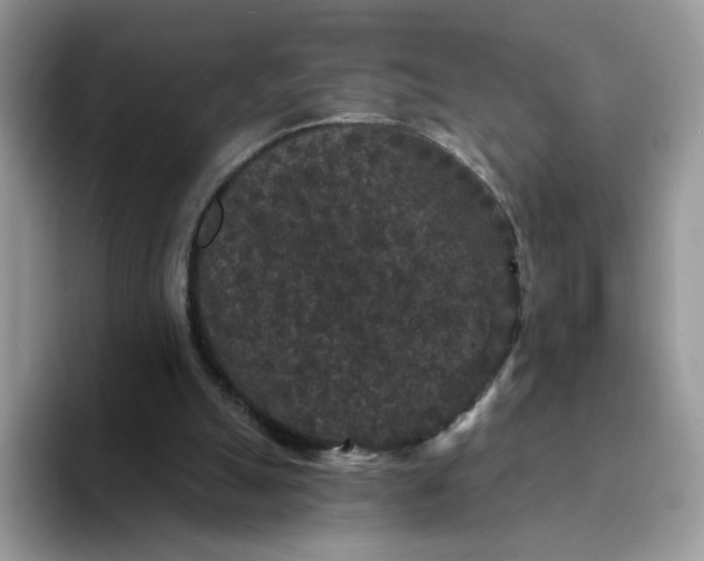 X0000094230055200711091321