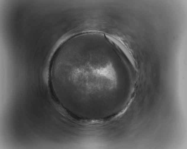 X0000094230056200711091321